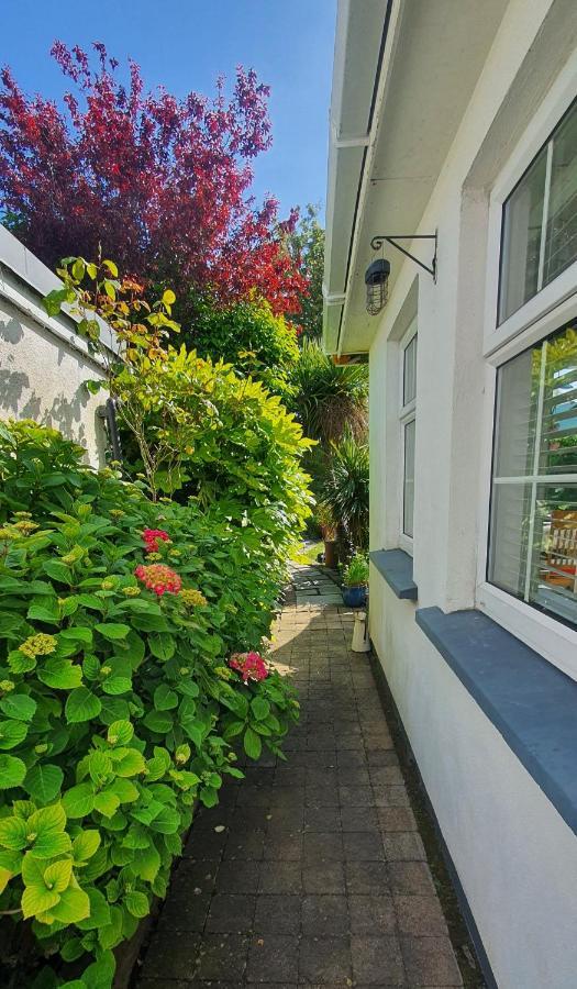 124 ,Castlelawn Heights, Headford Road Galway Homestay Екстер'єр фото